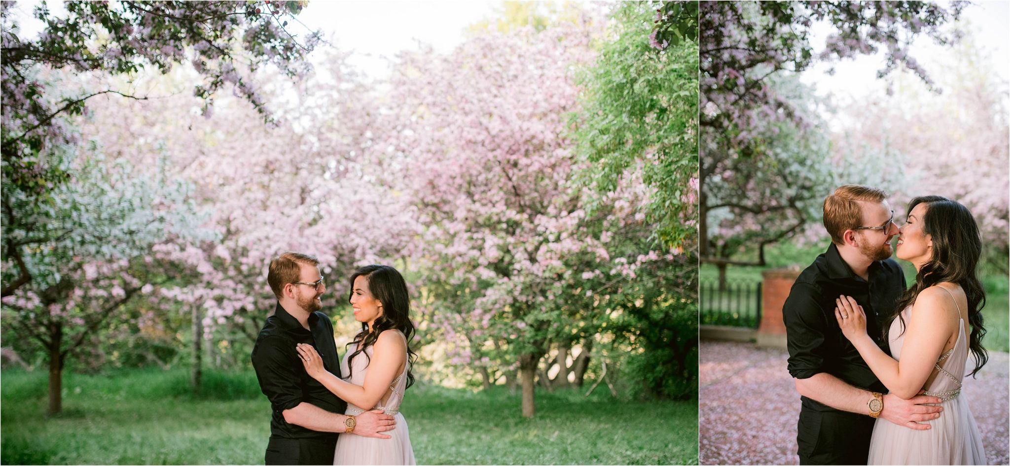 Romantic Cherry Blossoms Engagement Photos in Edmonton